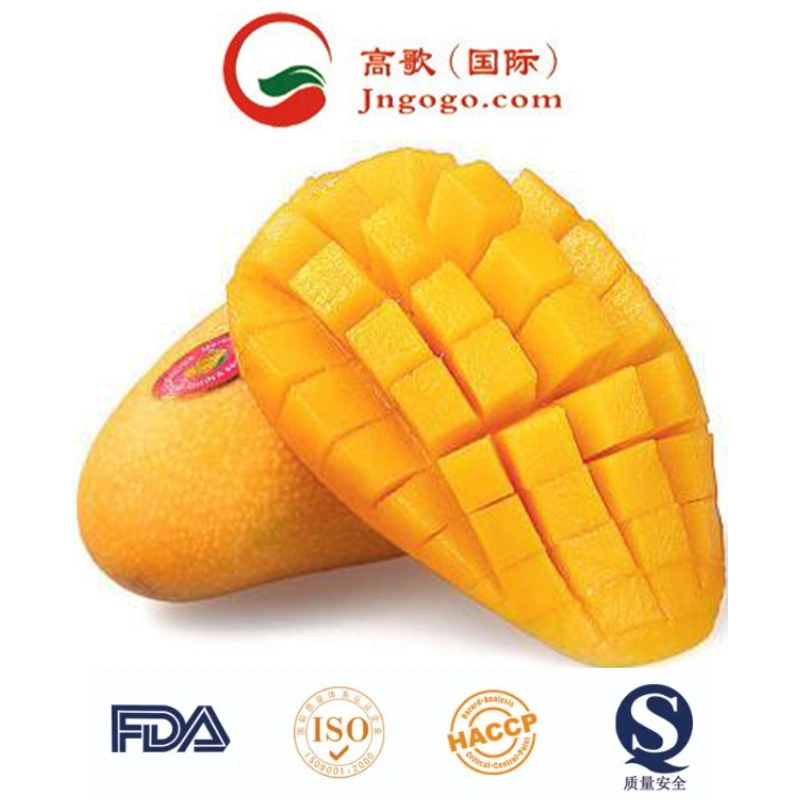 Top Quality Frozen Mango with Competitive Price IQF