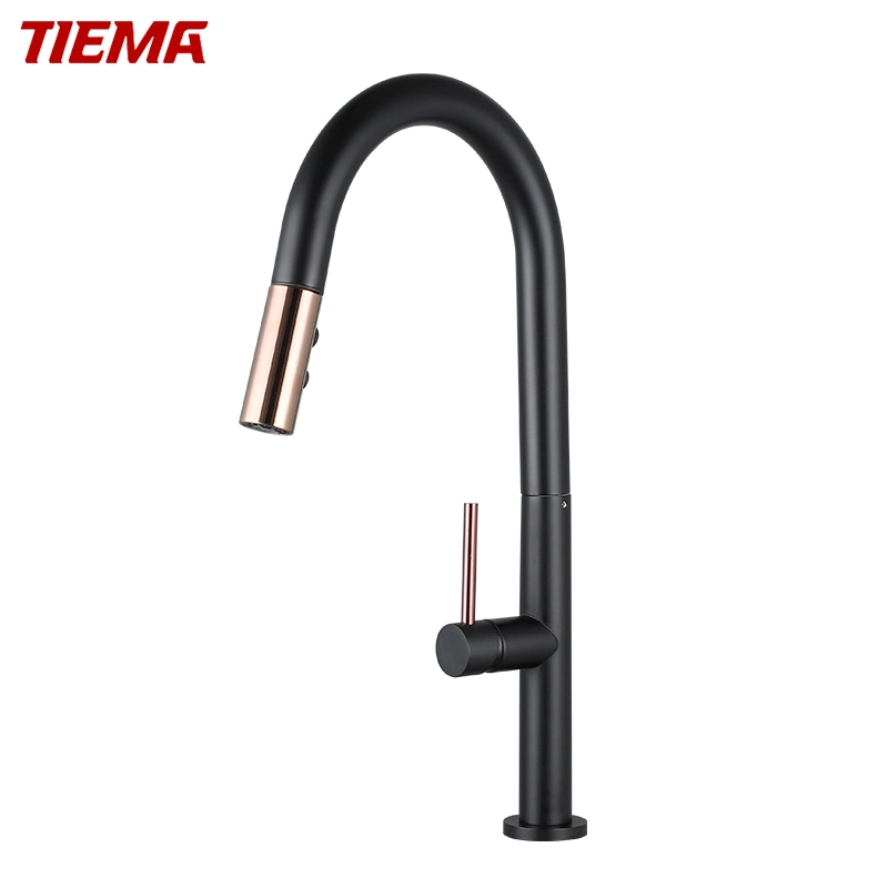 Brass Body Single Handle Pull-out Kitchen Faucet