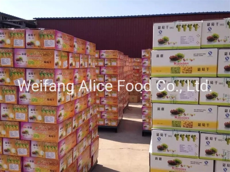 Wholesale/Supplier Xinjiang Factory Low Price Dried Red Raisins Bakery Sultana Raisins