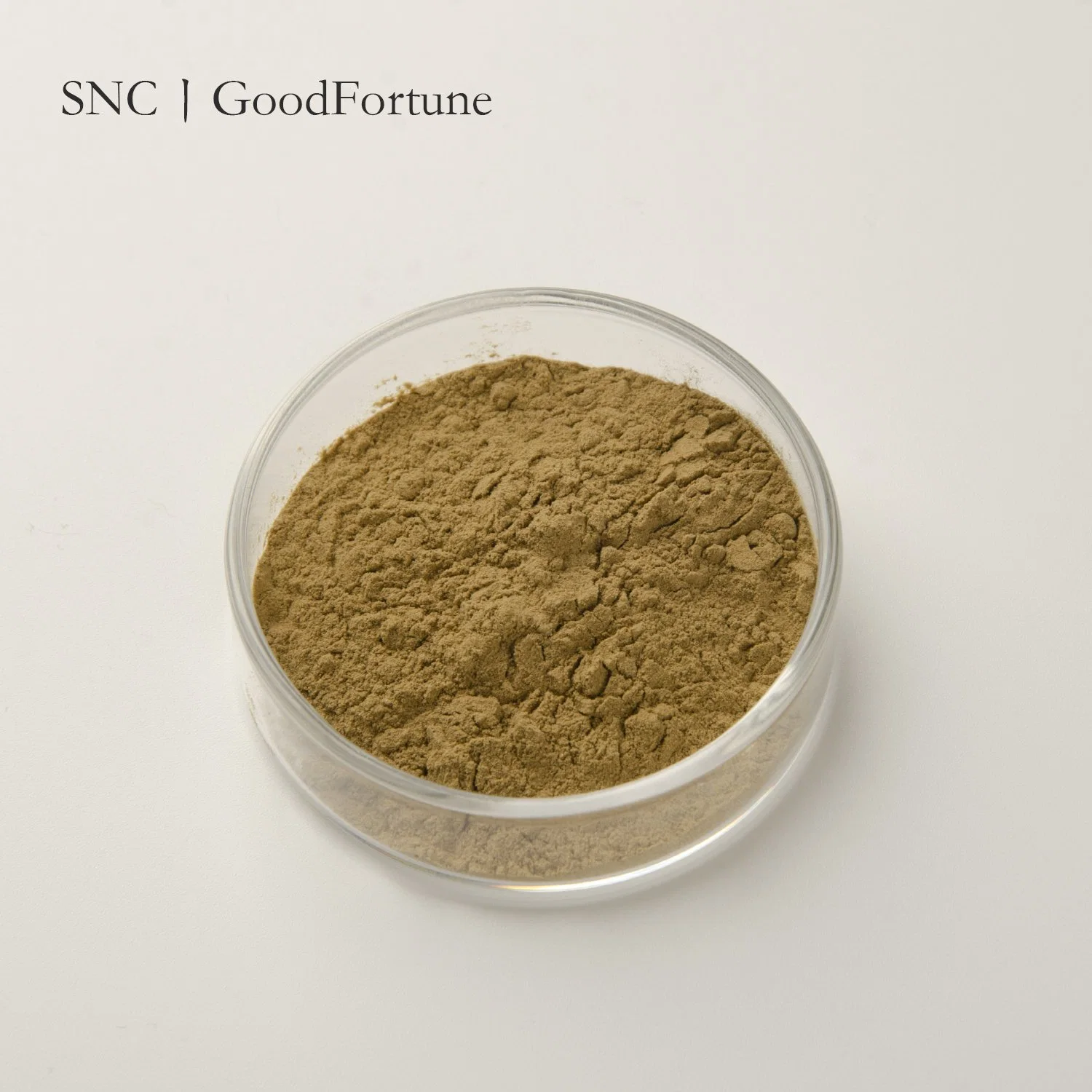 Hot Sell Food Colorants Natural Brown Powder Cacao Pigment