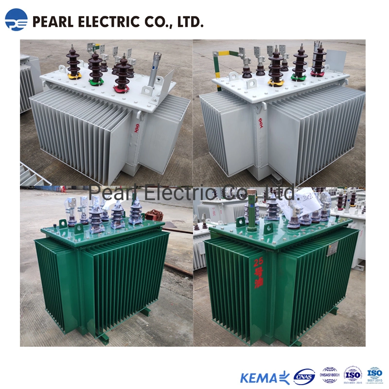 Peo-300kVA 11kv High Efficiency Oil-Immersed Distribution Transformer