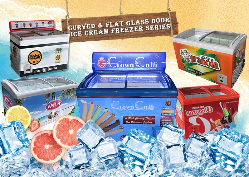 Visualización de tienda comercial helado del congelador congelador presentar tarjeta SD/SC-308S
