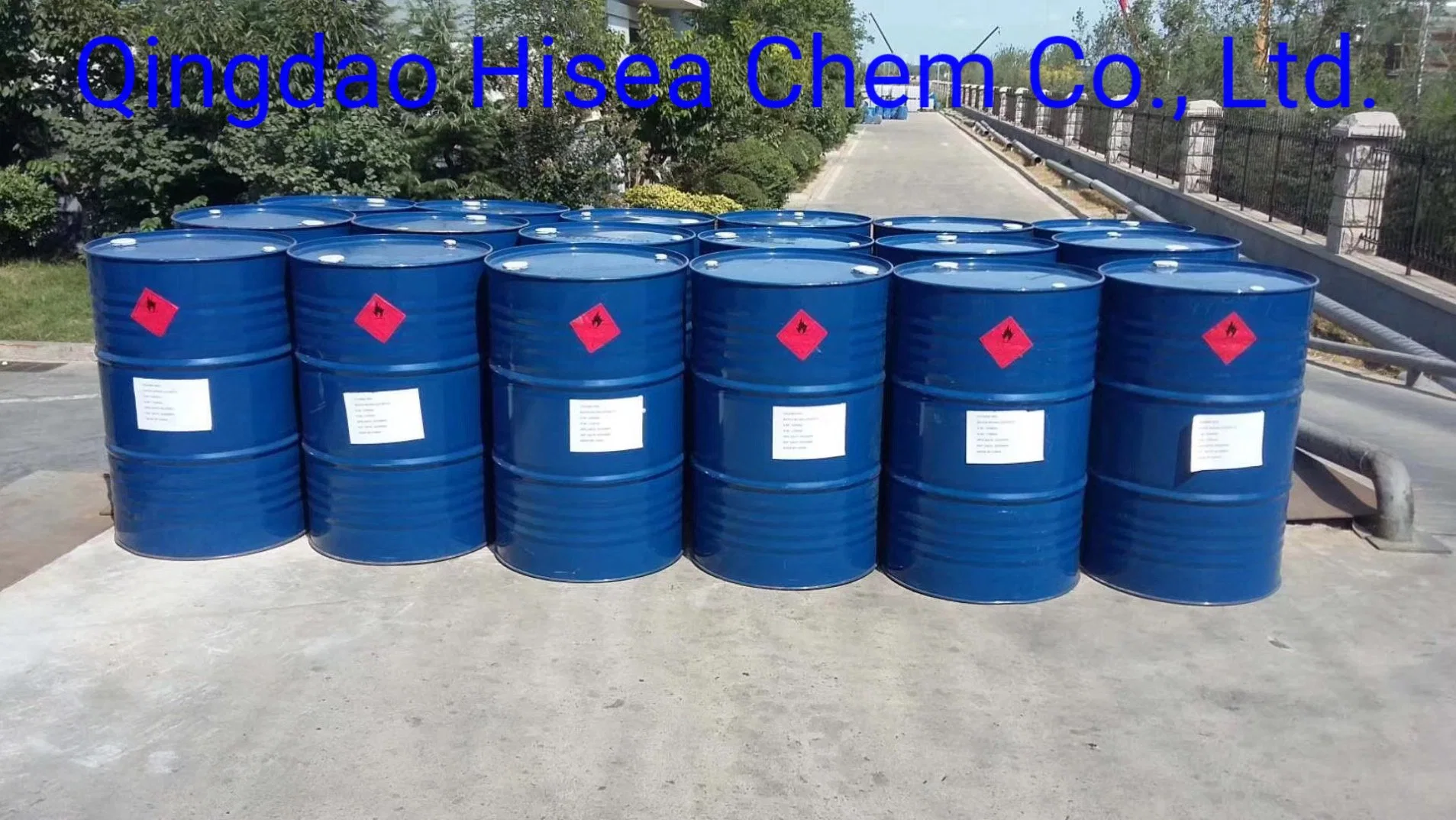 Hot Sale of Plasticizer Dibutyl Sebacate DBS