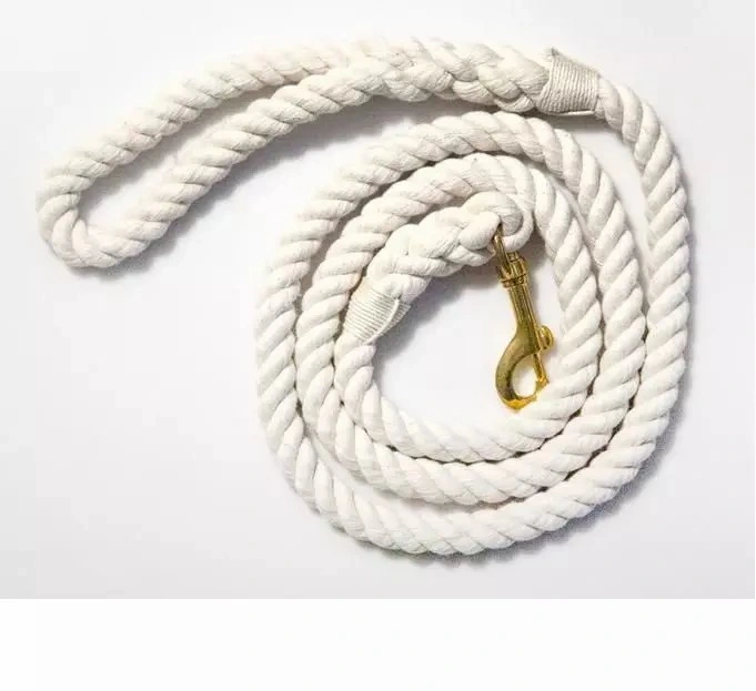 Caminhada à prova da coleira borracha PVC Leash Acessórios Pet