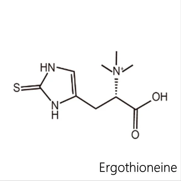 Ergothioneine Skin Repair Wirkstoff