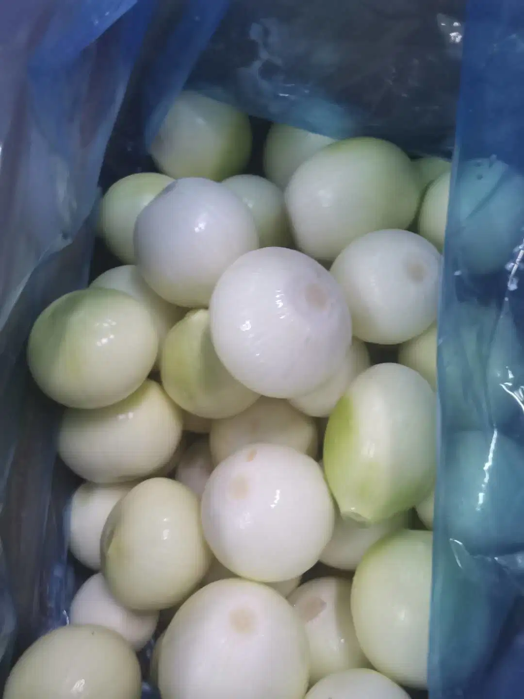 China New Crop Fresh Yellow Onion Peeled Fresh Vegetables Onion with Carton