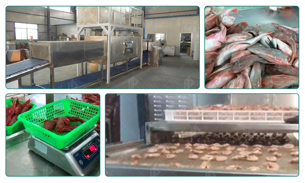 2023 China New Technology Industrial Microwave Frozen Chicken Meat Seafood Thawing Machine