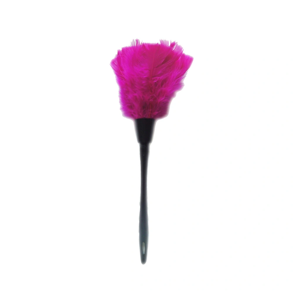 Hot Selling Flat Feather Duster