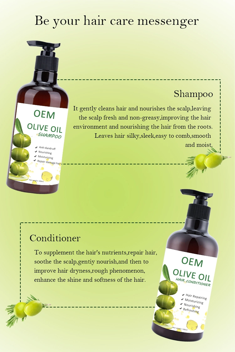 Ensemble de shampooing et de conditionneur pour l'huile d'olive nourrissante