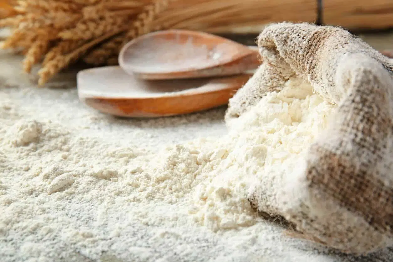 طعام عضوي عالي الجودة 82% حيوي من القمح جلوتن Flour 25 كجم مسحوق من الدرجة لتلقيم الورق