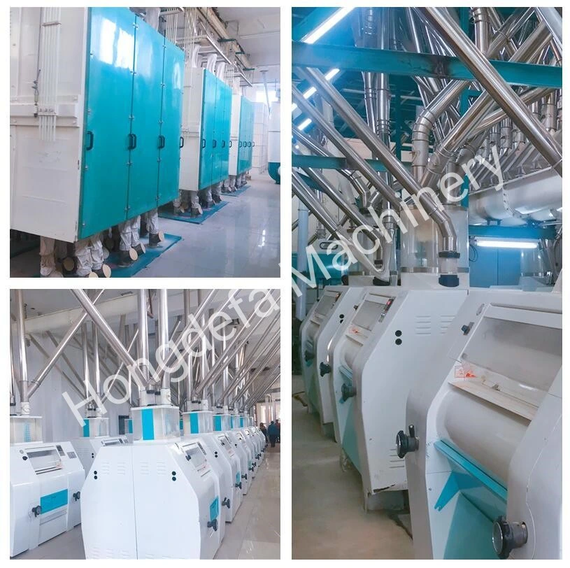 Hongdefa 120t/24h Wheat Flour Milling Machine for Africa Market