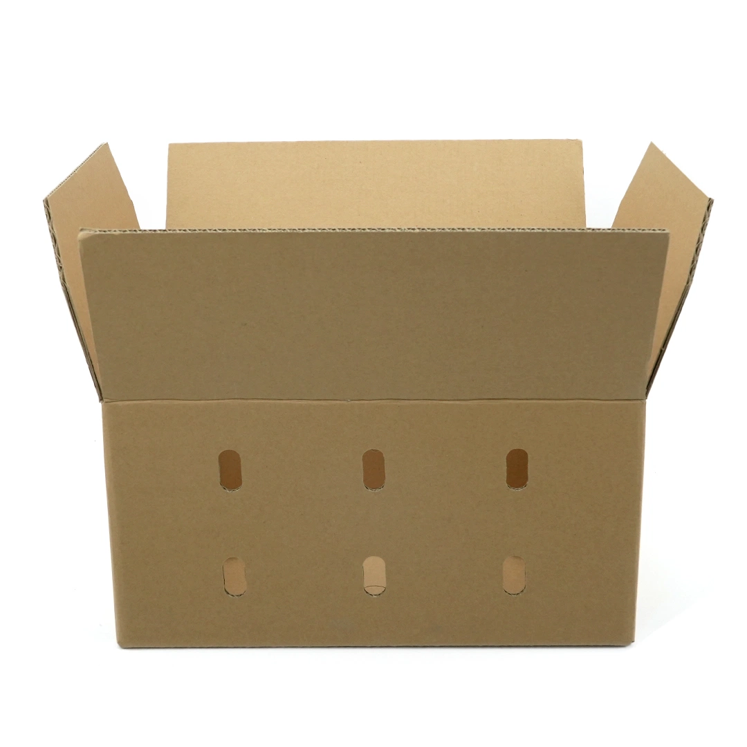 Packaging Custom Design Kraft Paper Corrugated Carton