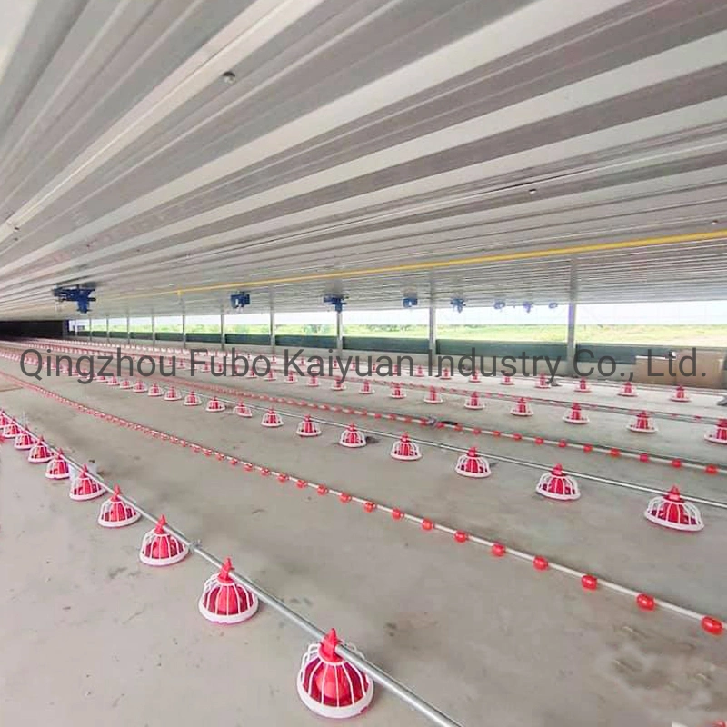 Original Factory Price Poultry Farming Automatic Broiler Feeding and Drinking System