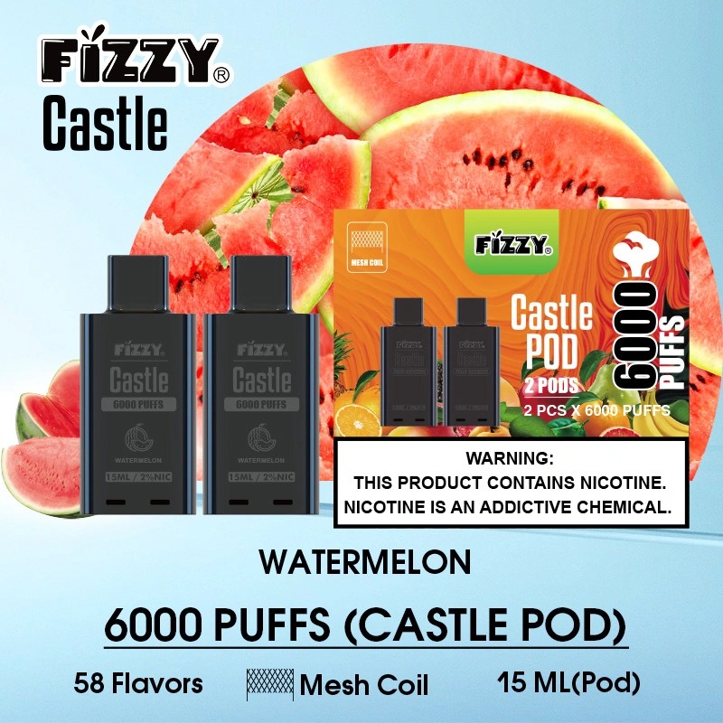 Factory Price Fizzy Castle 6000 Puff Electronic Disposable/Chargeable E Cigarette Vape Pod