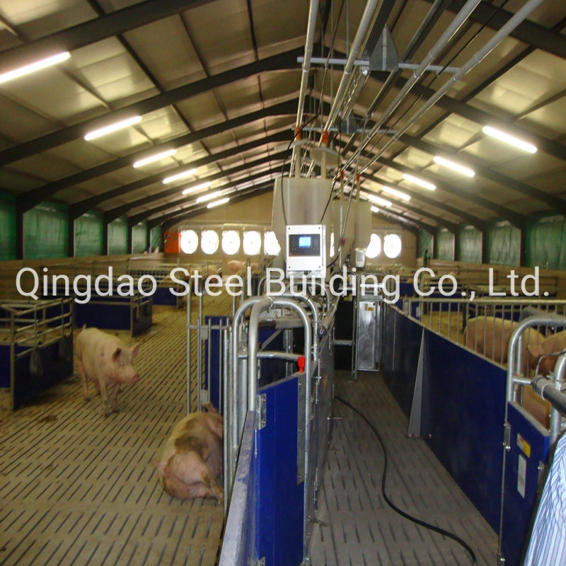 Design Cheap Price Light Steel Structure Pig Farm Shed Building