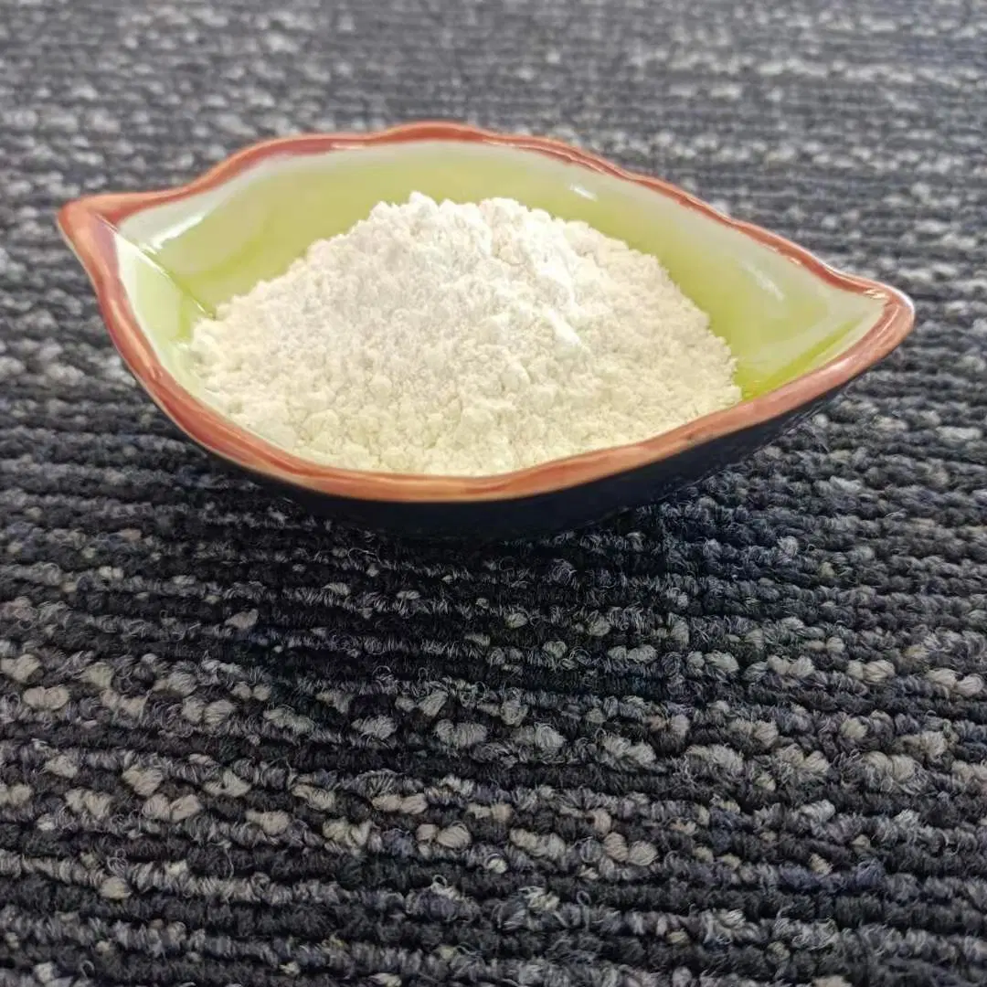 White Pigment TiO2 Rutile Anatase Price Titanium Dioxide CAS 13463-67-7