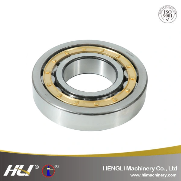 NJ2219EM  95mm *170 mm* 42 mm Cylindrical Roller Bearing for Sports Apparatus