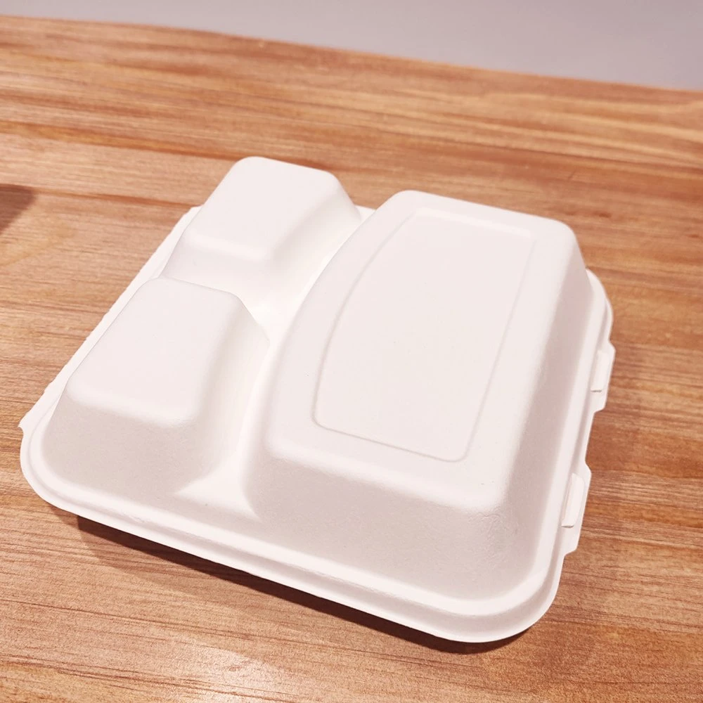 2022 10 Inch Molded Pulp Sugarcane Bagasse Clamshell Take Away Burger Box