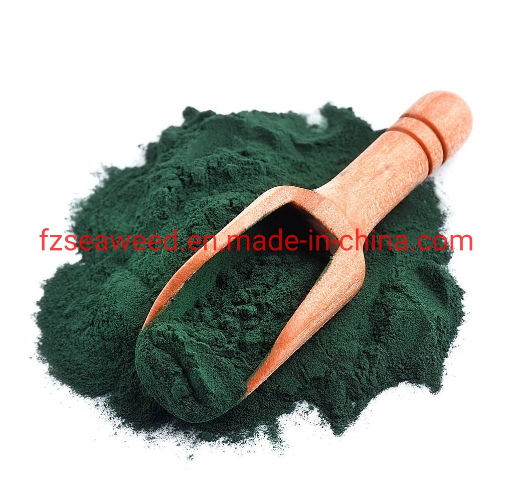 Wholesale/Supplier Healthy Product Food Grade Green Spirulina Powder