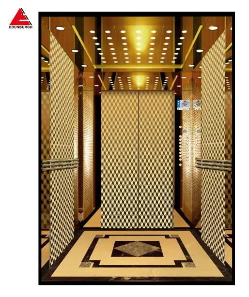 Luxury Type Passenger Elevator Lift Etched Type for Residential/Villa/School/Hotel/House/Public Projects