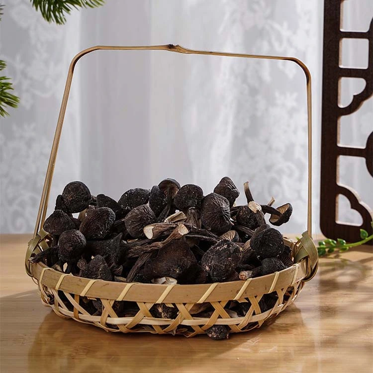 Black Health Food Dried Collybia Albuminosa Mushroom with Health Benefits