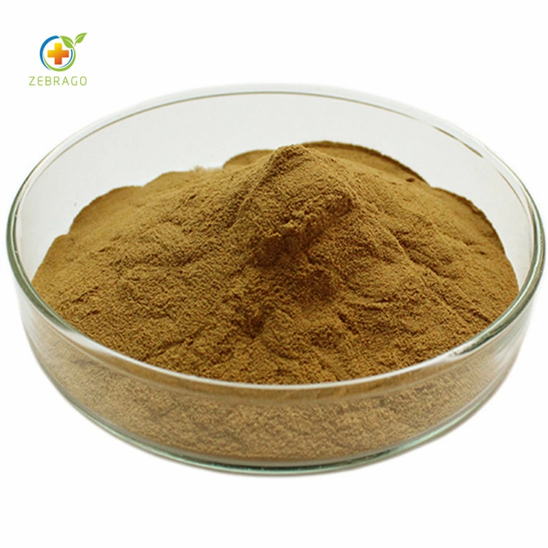 China Manufacturer Provide Ginkgo Biloba Extract Terpenlactone