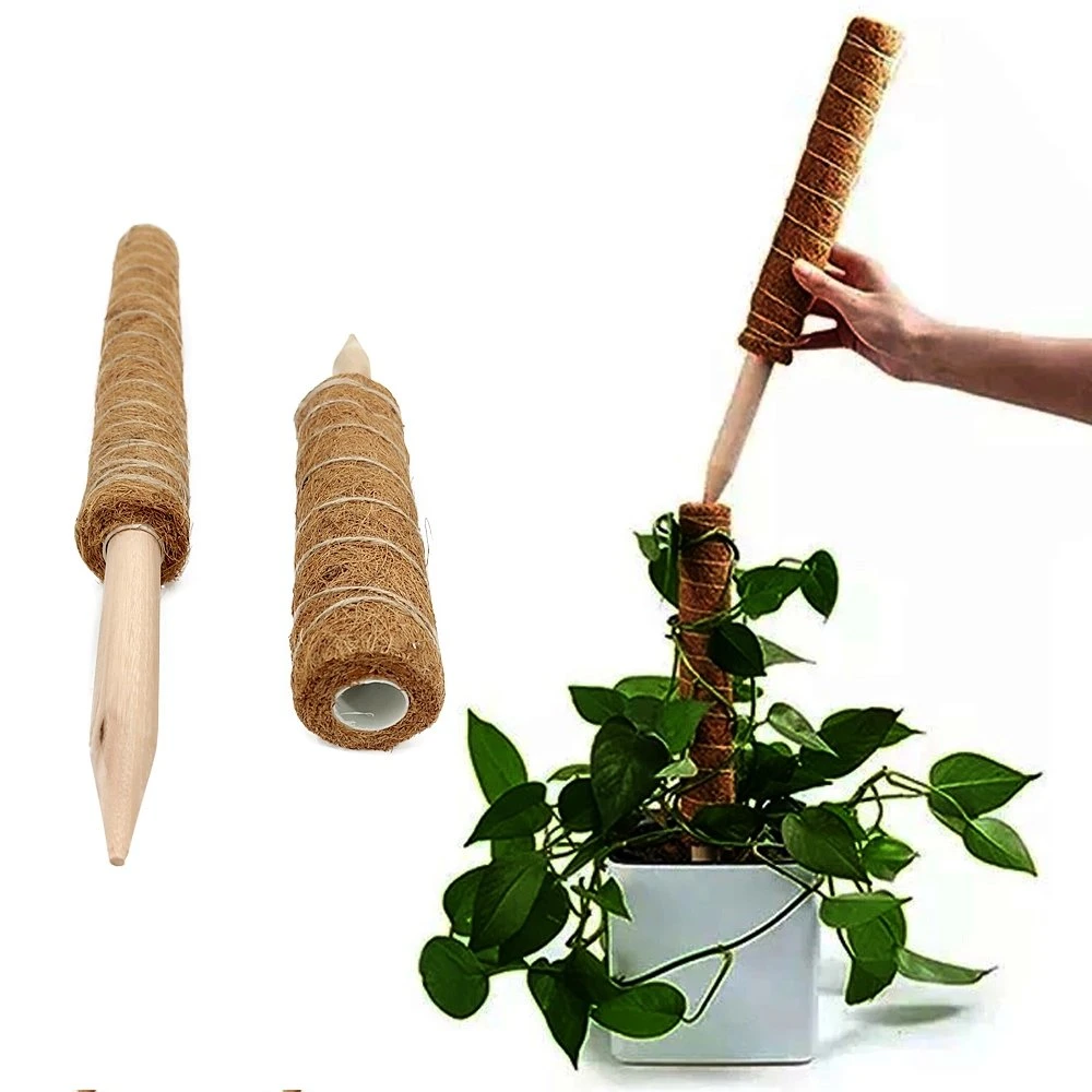 Plants Accessories Garden Indoors Potted Plant Support Small Climbing Coir Moss Poles