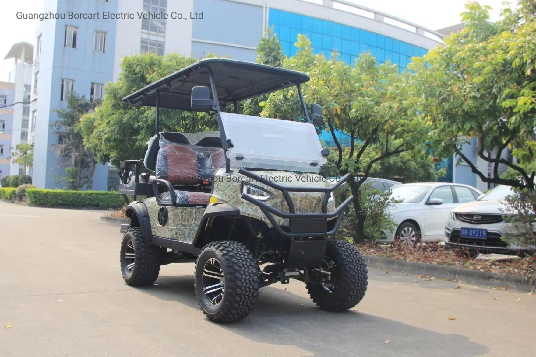 2 Seater Lifted Golf Cart Electric Golf Car Golf Cart Vehicle