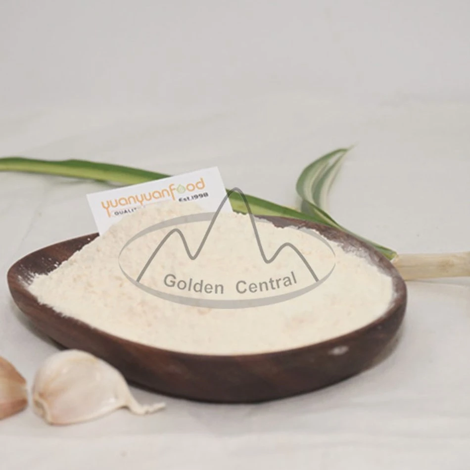 High Quality Dried Garlic Powder Export for World
