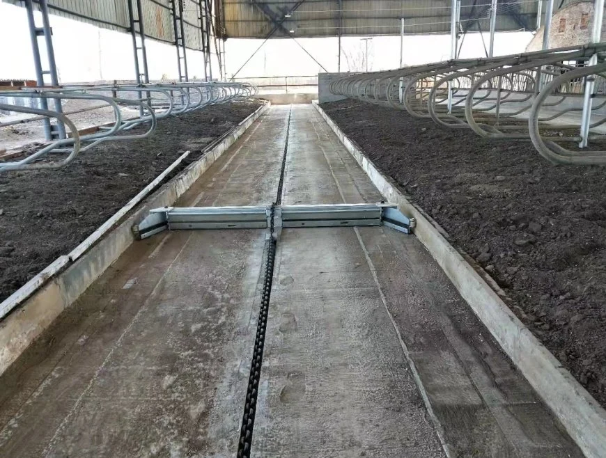 Cow or Cattle Farm Chain Drived by Motor Manure Scraper