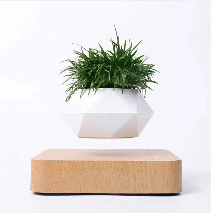 Planta de levitación Maglev al por mayor, Bonsai aire, Bonsai flotante, árbol de pote de flores de planta levitante