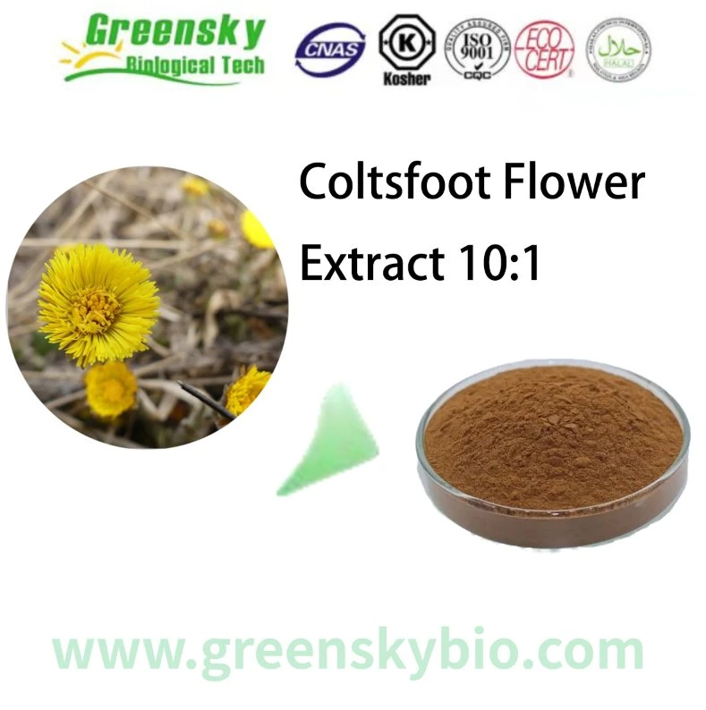 Alta calidad 100% Natural Extracto de la hoja Coltsfoot Coltsfoot puro Extracto de flor Coltsfoot Extracto 10: 1 Tussilago Farfara polvo amarillo marrón