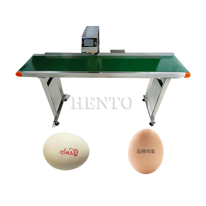 HENTO Factory Automatic Egg Date Coding Printing Machine / Egg Inkjet Printer