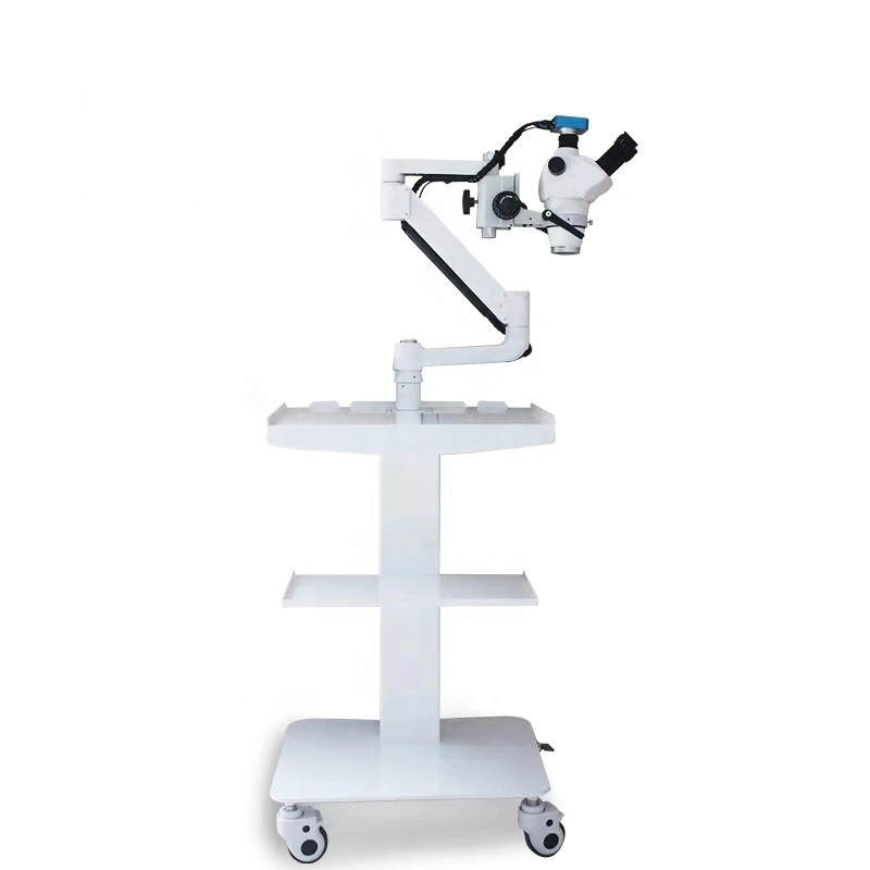 0-180degré LED binoculaire de chirurgie dentaire Microscope ent l'opération