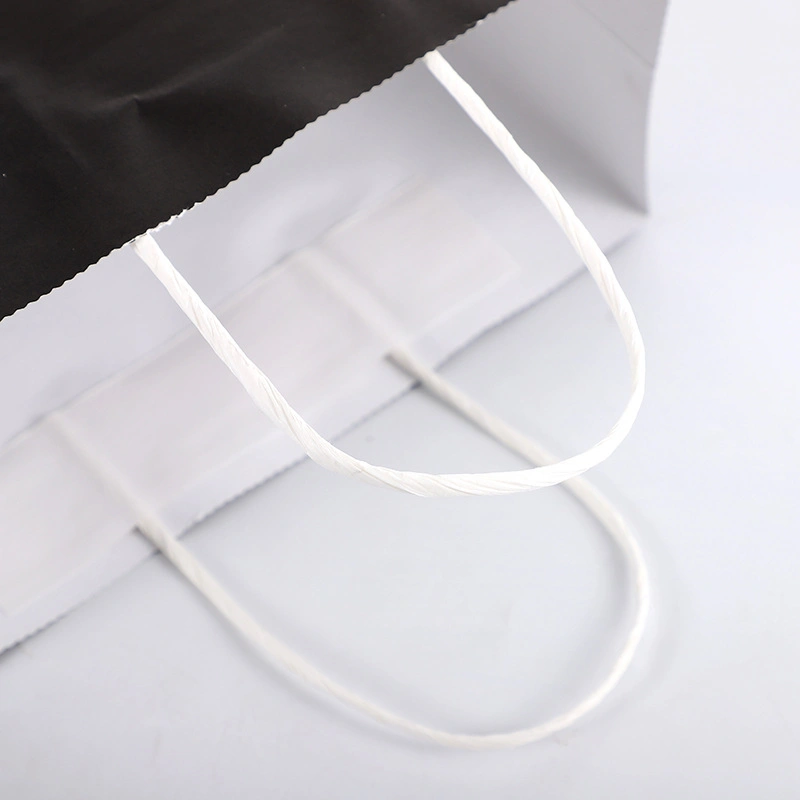 Eco-Friendly Custom Reusable Twist Handle Printed Paper Bag