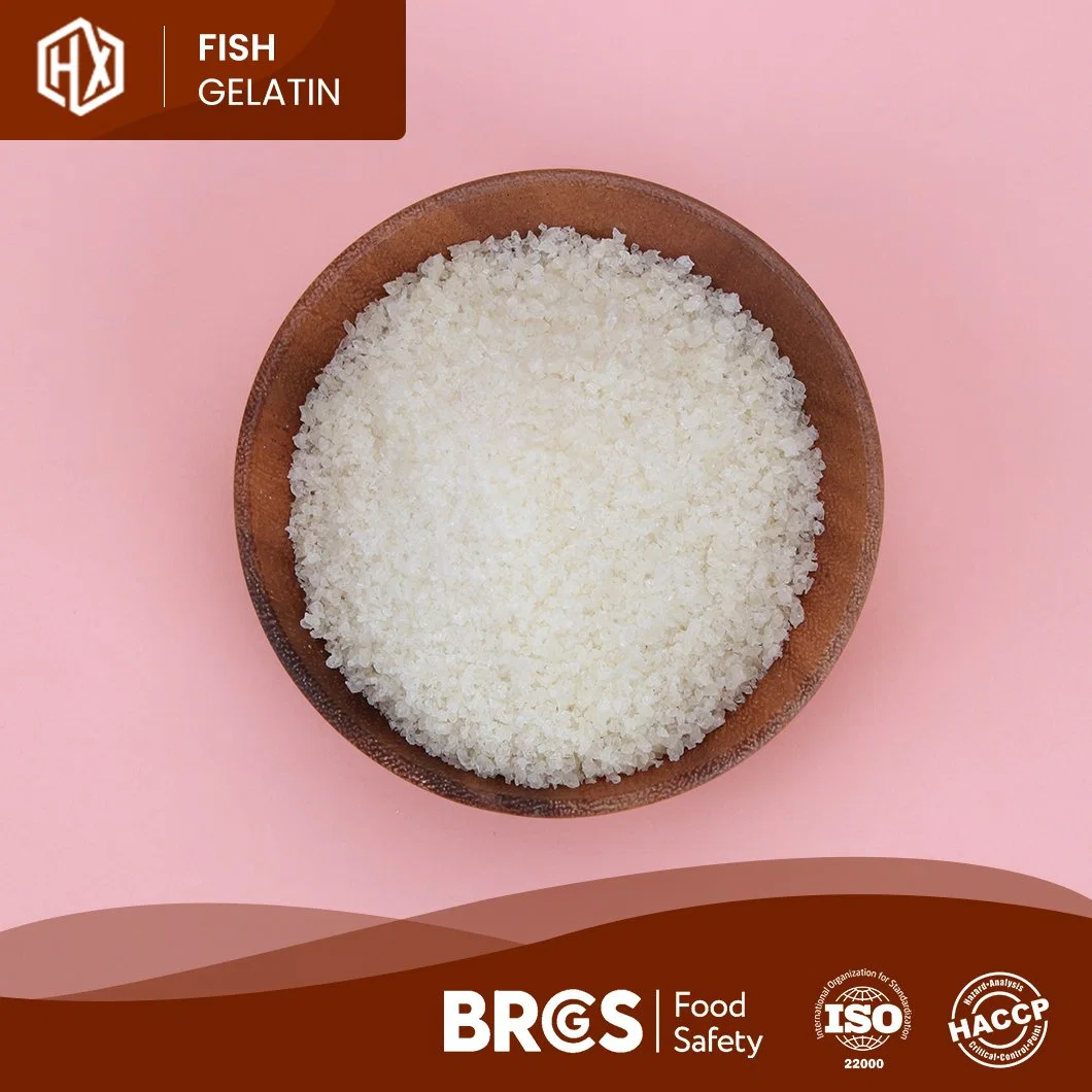 Haoxiang OEM Customized Powdered Cod Fish Skin Gelatin China Pharma Cod Fish Skin Gelatin Manufacturing Functional Food Marine Cod Fish Skin Gelatin