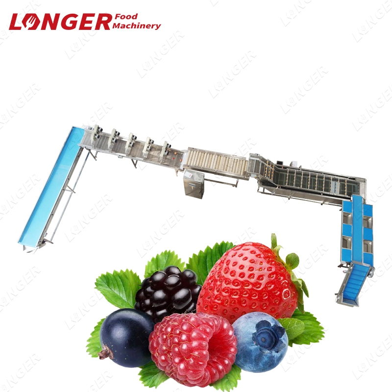 Industrial Vegetable Washing Machine Supplier Fruit Washing System Line Salad Vegetable Washing Equipment