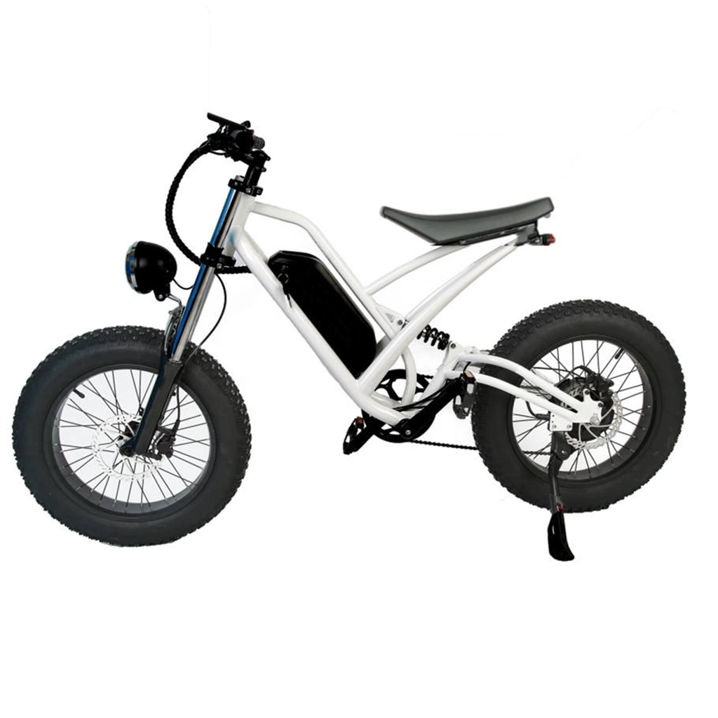 Shimano 7-fach Sport-Elektro-Fahrrad pro Fat Bike 750W Motor Offroad Elektro-Fahrrad voll Federung E Fahrrad für Erwachsene