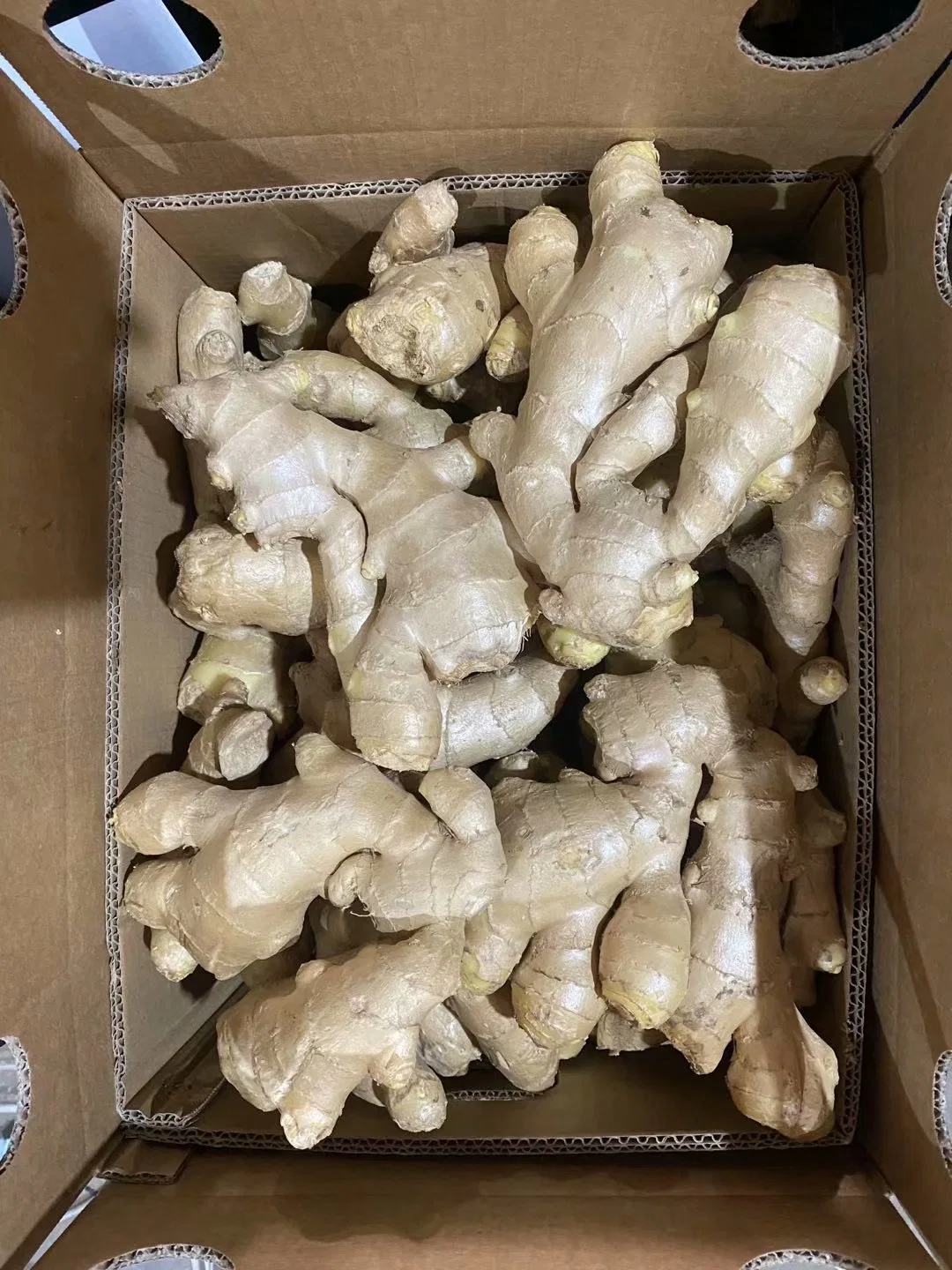 Fresh Spicy Mature Ginger Sold Directly From The Factory