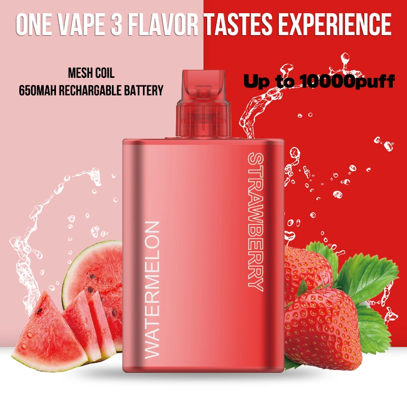 2023 el más nuevo Proutucto Shenzhen VAPE un sabor VAPE 3 Doble sabor Jstbar 10000 Puffs 2%3%5% nicotina desechable VAPE