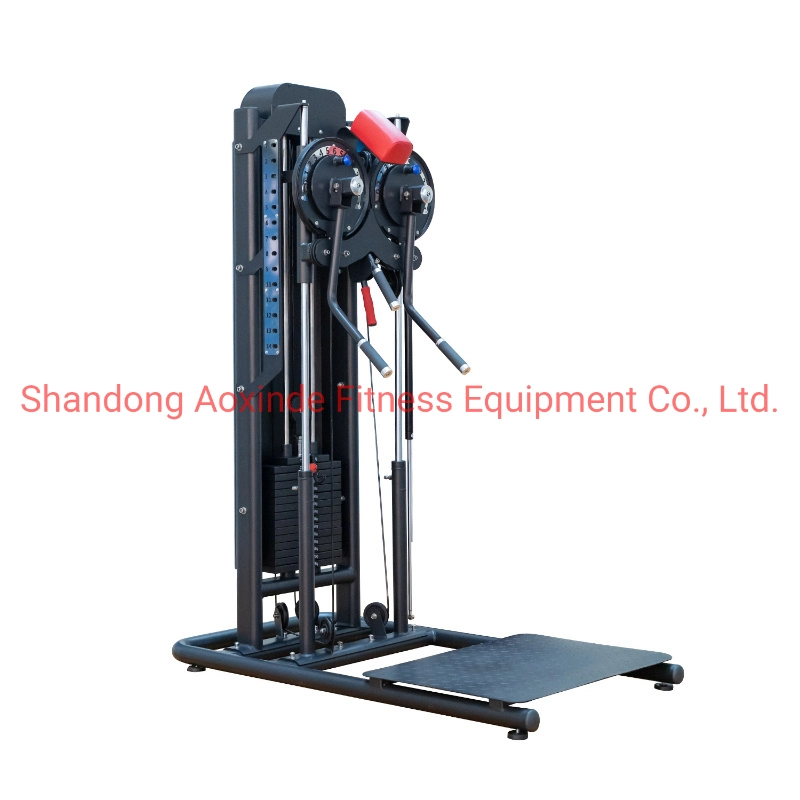 New Product Commercial Fitness Equipment Standing Multi Flight (AXD-Q01)