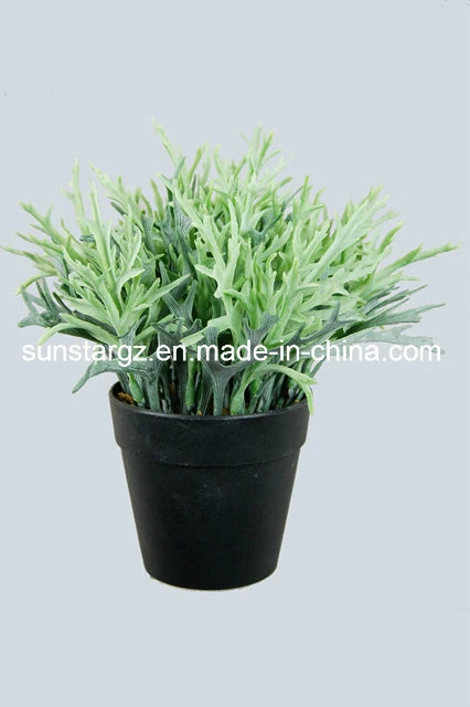 Plastic PE Factory Direct Wholesale Artificial Plant Marguerite Leaf Mini Bonsai for Decoration (50786)