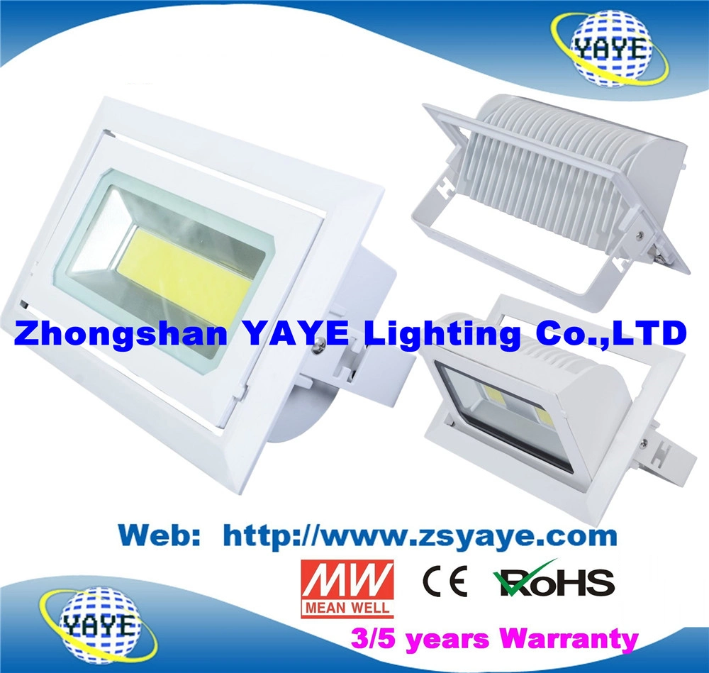 Yaye 18 أفضل جهاز عرض LED طراز COB بقدرة 30 واط معتمد من CE/RoHS Sell / مصباح LED بقوة 30 واط بإضاءة LED /COB بقوة 30 واط بإضاءة LED