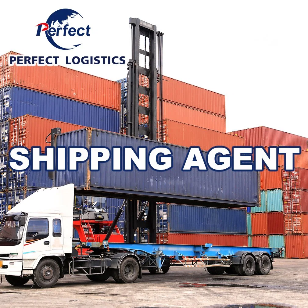 Ocean Cargo Consolidation Shipment Agent From Shenzhen China to Australia