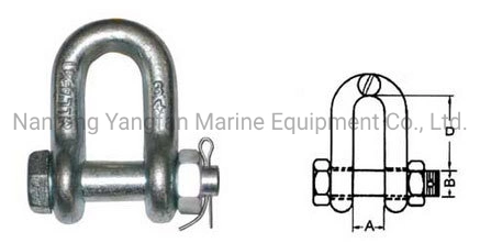 Steel Galvanized Stainless Steel G2150 Us D Shackle