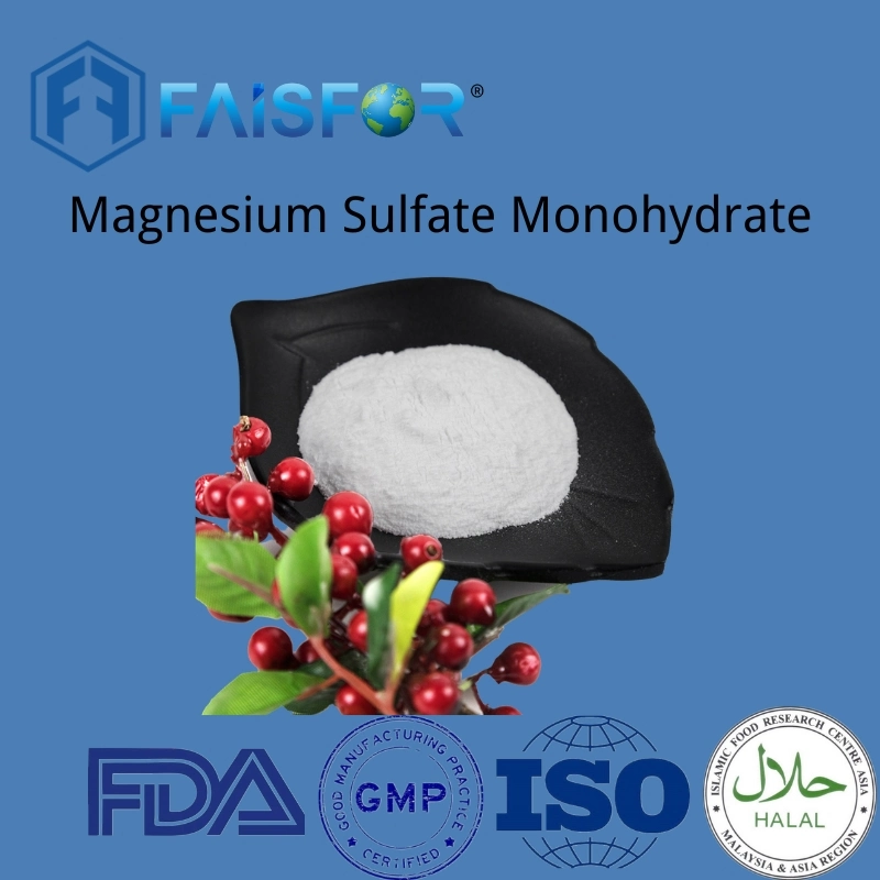 Magnesium Sulphate Magnesium Sulfate Anhydrous Magnesium Sulfate Monohydrate CAS 14168-73-1