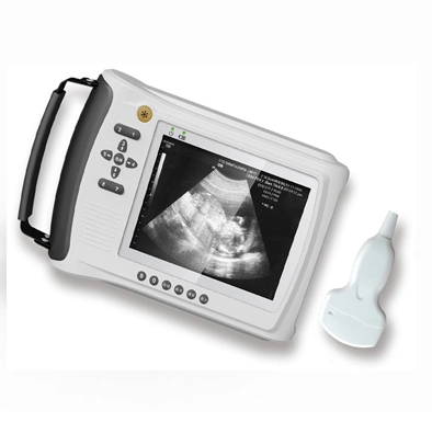 China Full-Digital Portable Farm Veterinary Handheld Ultrasound Scanner Pregnancy