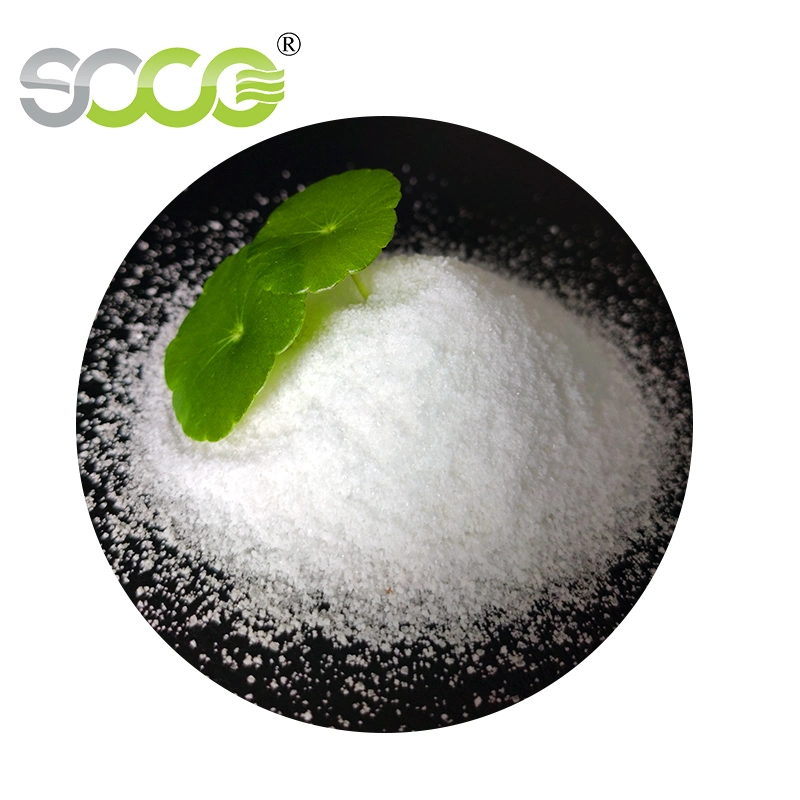 Soco Polymer Potassium Biodegradable Hydrogel Powder Potassium Polyacrylate Birch Sap Super Absorbent Polymer for Agriculture for Ecological Greening