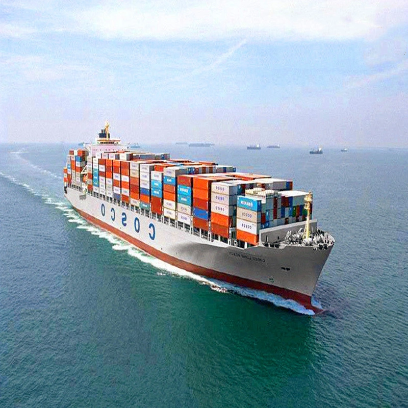 Sea Freight Forwarder Dropshipping Shipping Cargo Logistics Services From China to India