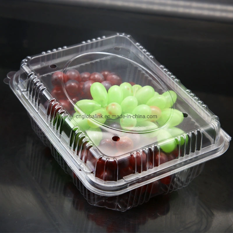 Plastic 1kg Fruit Salad Packaging Container Box